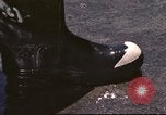 Image of United States airmen California United States USA, 1976, second 8 stock footage video 65675060869
