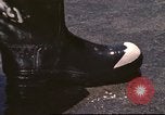 Image of United States airmen California United States USA, 1976, second 9 stock footage video 65675060869