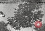 Immagine di Giapponese di velivoli militari Cina, 1938, secondo 55 filmato di repertorio 65675060889