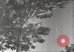 Immagine di Giapponese di velivoli militari Cina, 1938, secondo 59 filmato di repertorio 65675060889