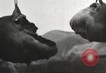 Immagine di Capi di eseguito marauders La Manciuria Cina, 1930, secondo 49 filmato di repertorio 65675060902