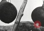 Immagine di Capi di eseguito marauders La Manciuria Cina, 1930, secondo 55 filmato di repertorio 65675060902