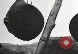 Immagine di Capi di eseguito marauders La Manciuria Cina, 1930, secondo 56 filmato di repertorio 65675060902