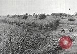 Immagine di Le truppe giapponesi Cina, 1938, secondo 49 filmato di repertorio 65675060903