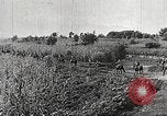 Immagine di Le truppe giapponesi Cina, 1938, secondo 50 filmato di repertorio 65675060903