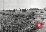 Immagine di Le truppe giapponesi Cina, 1938, secondo 51 filmato di repertorio 65675060903