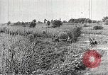 Immagine di Le truppe giapponesi Cina, 1938, secondo 52 filmato di repertorio 65675060903