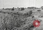 Immagine di Le truppe giapponesi Cina, 1938, secondo 53 filmato di repertorio 65675060903