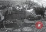 Image of Albania troops Europe, 1917, second 27 stock footage video 65675060929