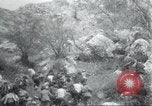 Image of Albania troops Europe, 1917, second 40 stock footage video 65675060929