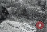 Image of Albania troops Europe, 1917, second 55 stock footage video 65675060929