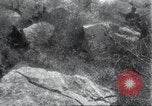 Image of Albania troops Europe, 1917, second 62 stock footage video 65675060929