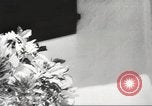 Immagine di Gli osservatori giapponese Honolulu Hawaii USA, 1941, secondo 8 filmato di repertorio 65675060932