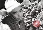 Immagine di Gli osservatori giapponese Honolulu Hawaii USA, 1941, secondo 30 filmato di repertorio 65675060932