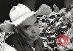 Immagine di Gli osservatori giapponese Honolulu Hawaii USA, 1941, secondo 33 filmato di repertorio 65675060932