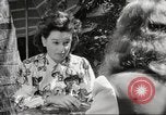 Immagine di Funzionario giapponese Honolulu Hawaii USA, 1941, secondo 28 filmato di repertorio 65675060933