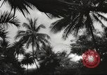 Image of Pearl Harbor and Oahu before attack Honolulu Hawaii USA, 1943, second 3 stock footage video 65675060937