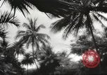 Image of Pearl Harbor and Oahu before attack Honolulu Hawaii USA, 1943, second 4 stock footage video 65675060937