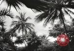 Image of Pearl Harbor and Oahu before attack Honolulu Hawaii USA, 1943, second 5 stock footage video 65675060937