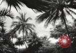 Image of Pearl Harbor and Oahu before attack Honolulu Hawaii USA, 1943, second 6 stock footage video 65675060937