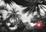 Image of Pearl Harbor and Oahu before attack Honolulu Hawaii USA, 1943, second 7 stock footage video 65675060937