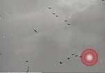 Image of Japanese bombers attack Pearl Harbor Honolulu Hawaii USA, 1941, second 57 stock footage video 65675060940
