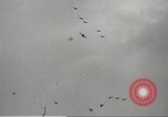 Image of Japanese bombers attack Pearl Harbor Honolulu Hawaii USA, 1941, second 58 stock footage video 65675060940