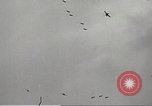 Image of Japanese bombers attack Pearl Harbor Honolulu Hawaii USA, 1941, second 59 stock footage video 65675060940