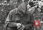 Image joindre un message au pigeon porteur United States USA, 1920, de la seconde 57 séquences d'archives historiques vidéo 65675060947