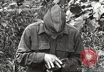 Image joindre un message au pigeon porteur United States USA, 1920, de la seconde 58 séquences d'archives historiques vidéo 65675060947