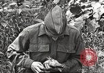 Image joindre un message au pigeon porteur United States USA, 1920, de la seconde 59 séquences d'archives historiques vidéo 65675060947