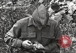 Image joindre un message au pigeon porteur United States USA, 1920, de la seconde 60 séquences d'archives historiques vidéo 65675060947