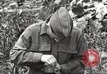 Image joindre un message au pigeon porteur United States USA, 1920, de la seconde 62 séquences d'archives historiques vidéo 65675060947
