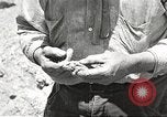 Standbild Chamäleon Phoenix Arizona USA, 1920, aus Sekunde 3 historischem Filmmaterial Videoclip 65675060951