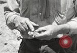 Standbild Chamäleon Phoenix Arizona USA, 1920, aus Sekunde 4 historischem Filmmaterial Videoclip 65675060951