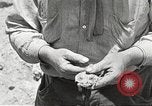 Standbild Chamäleon Phoenix Arizona USA, 1920, aus Sekunde 5 historischem Filmmaterial Videoclip 65675060951