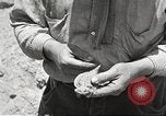 Standbild Chamäleon Phoenix Arizona USA, 1920, aus Sekunde 6 historischem Filmmaterial Videoclip 65675060951
