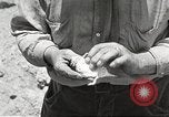 Standbild Chamäleon Phoenix Arizona USA, 1920, aus Sekunde 7 historischem Filmmaterial Videoclip 65675060951