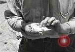 Standbild Chamäleon Phoenix Arizona USA, 1920, aus Sekunde 8 historischem Filmmaterial Videoclip 65675060951