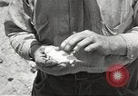 Standbild Chamäleon Phoenix Arizona USA, 1920, aus Sekunde 10 historischem Filmmaterial Videoclip 65675060951