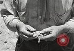 Standbild Chamäleon Phoenix Arizona USA, 1920, aus Sekunde 11 historischem Filmmaterial Videoclip 65675060951