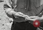 Standbild Chamäleon Phoenix Arizona USA, 1920, aus Sekunde 15 historischem Filmmaterial Videoclip 65675060951