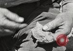 Standbild Chamäleon Phoenix Arizona USA, 1920, aus Sekunde 17 historischem Filmmaterial Videoclip 65675060951
