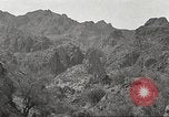 Standbild Chamäleon Phoenix Arizona USA, 1920, aus Sekunde 22 historischem Filmmaterial Videoclip 65675060951