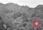 Standbild Chamäleon Phoenix Arizona USA, 1920, aus Sekunde 24 historischem Filmmaterial Videoclip 65675060951
