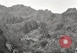 Standbild Chamäleon Phoenix Arizona USA, 1920, aus Sekunde 26 historischem Filmmaterial Videoclip 65675060951