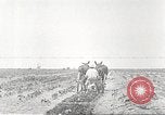 Image of Theodore Roosevelt Dam Phoenix Arizona USA, 1920, second 48 stock footage video 65675060952