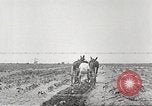 Image of Theodore Roosevelt Dam Phoenix Arizona USA, 1920, second 49 stock footage video 65675060952