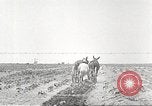 Image of Theodore Roosevelt Dam Phoenix Arizona USA, 1920, second 50 stock footage video 65675060952