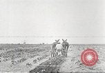 Image of Theodore Roosevelt Dam Phoenix Arizona USA, 1920, second 51 stock footage video 65675060952